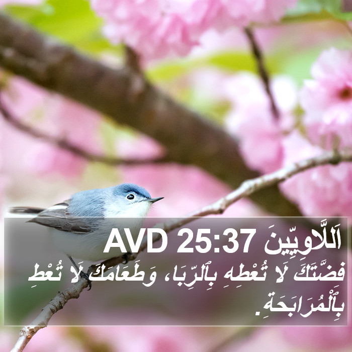 اَللَّاوِيِّينَ 25:37 AVD Bible Study