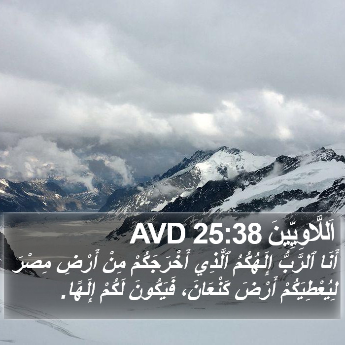 اَللَّاوِيِّينَ 25:38 AVD Bible Study