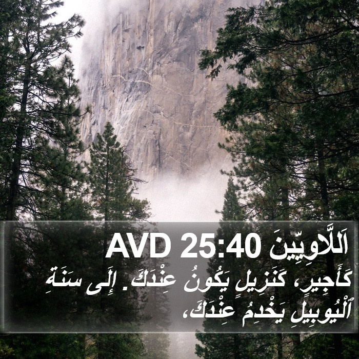 اَللَّاوِيِّينَ 25:40 AVD Bible Study