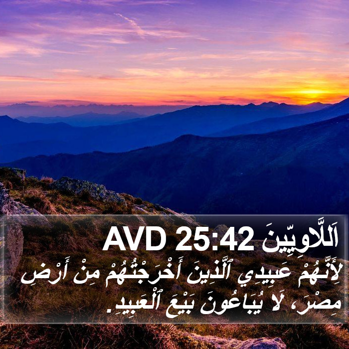 اَللَّاوِيِّينَ 25:42 AVD Bible Study