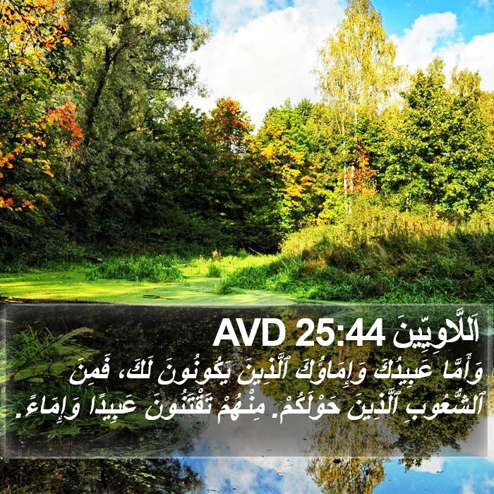 اَللَّاوِيِّينَ 25:44 AVD Bible Study