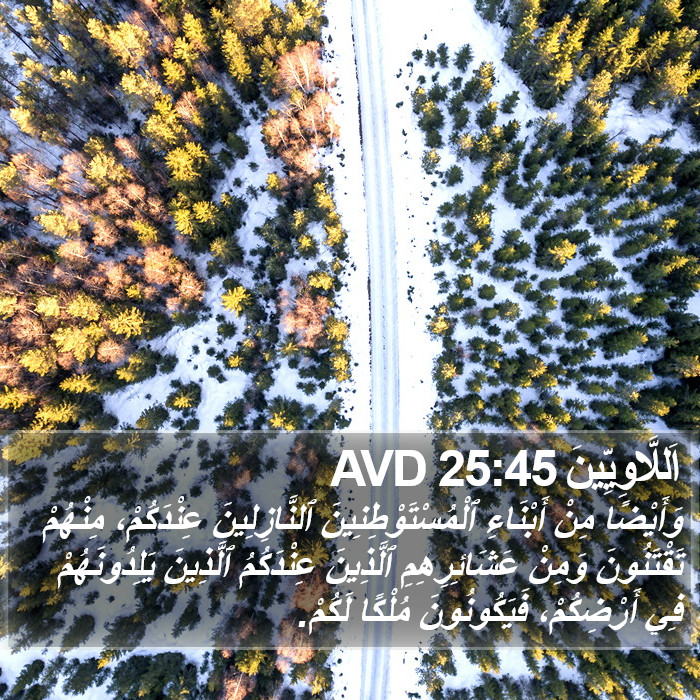 اَللَّاوِيِّينَ 25:45 AVD Bible Study