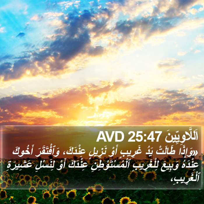 اَللَّاوِيِّينَ 25:47 AVD Bible Study