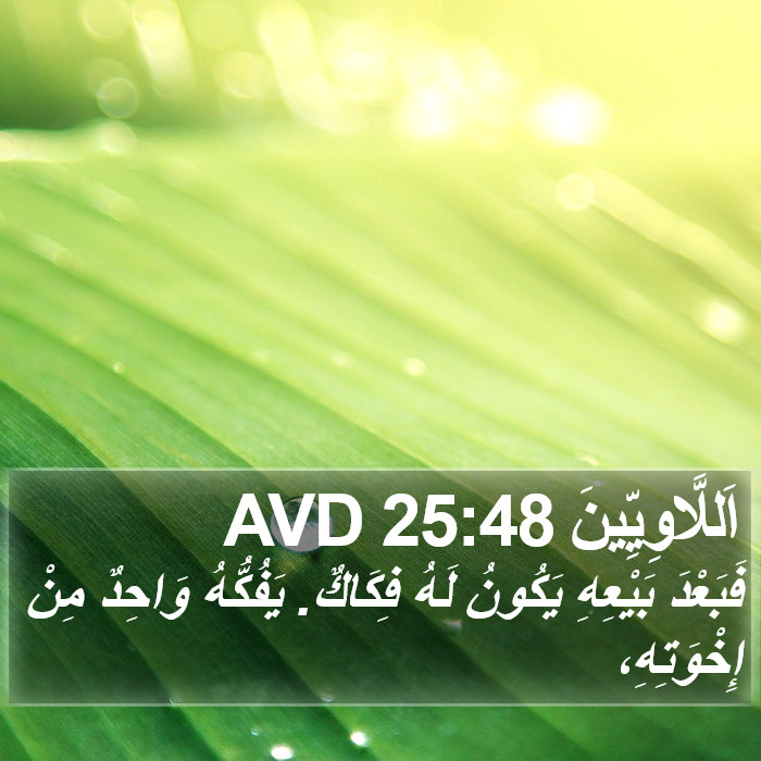 اَللَّاوِيِّينَ 25:48 AVD Bible Study