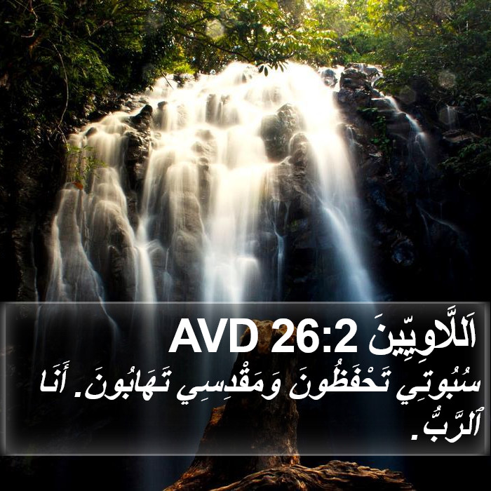 اَللَّاوِيِّينَ 26:2 AVD Bible Study