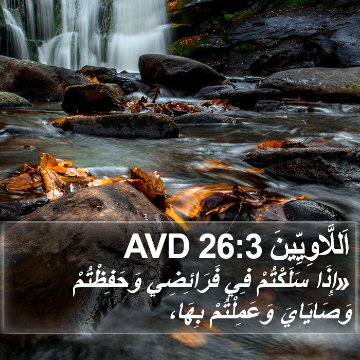 اَللَّاوِيِّينَ 26:3 AVD Bible Study