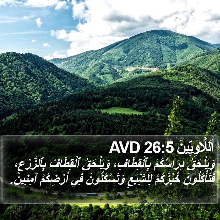 اَللَّاوِيِّينَ 26:5 AVD Bible Study