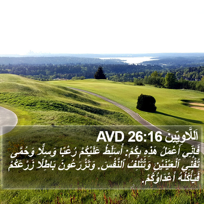 اَللَّاوِيِّينَ 26:16 AVD Bible Study
