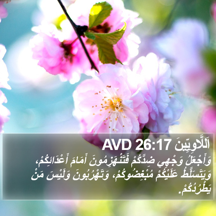 اَللَّاوِيِّينَ 26:17 AVD Bible Study