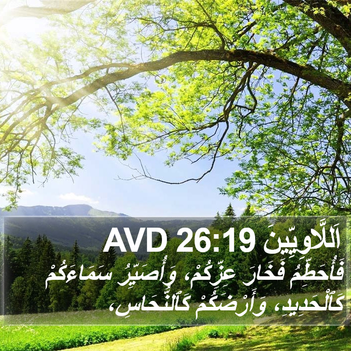 اَللَّاوِيِّينَ 26:19 AVD Bible Study