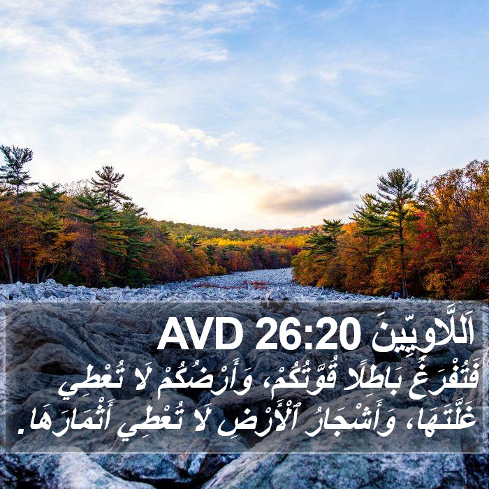 اَللَّاوِيِّينَ 26:20 AVD Bible Study