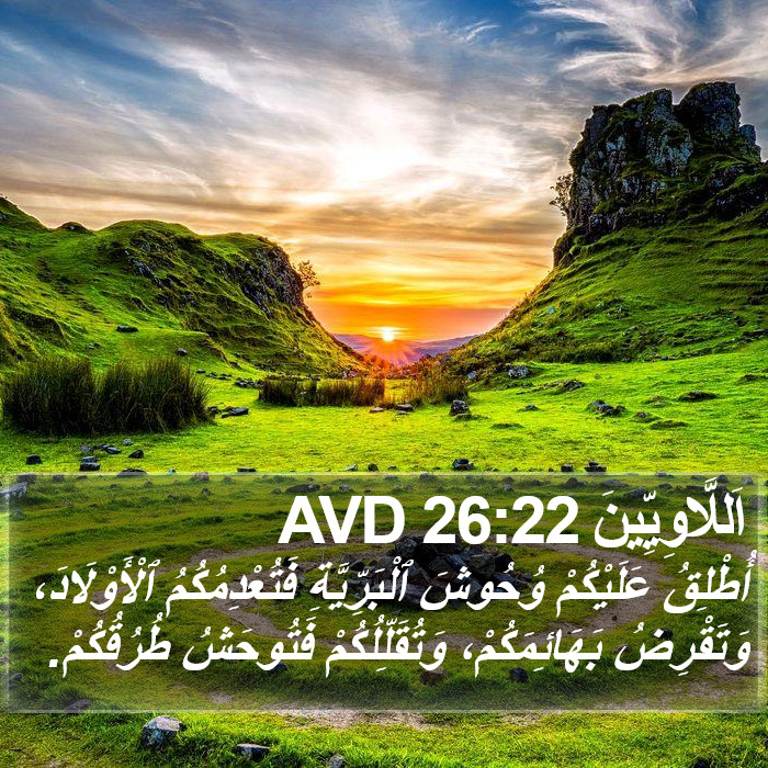 اَللَّاوِيِّينَ 26:22 AVD Bible Study