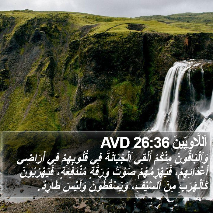 اَللَّاوِيِّينَ 26:36 AVD Bible Study