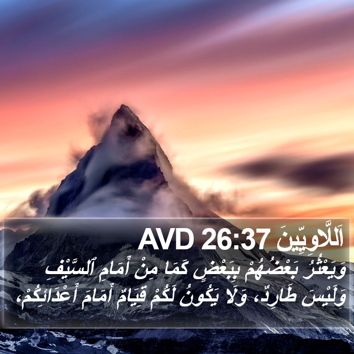 اَللَّاوِيِّينَ 26:37 AVD Bible Study