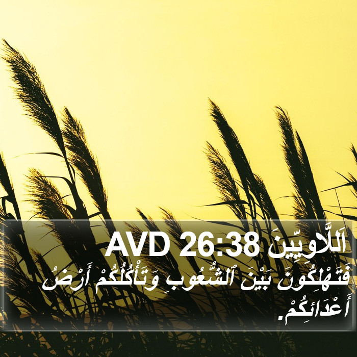 اَللَّاوِيِّينَ 26:38 AVD Bible Study