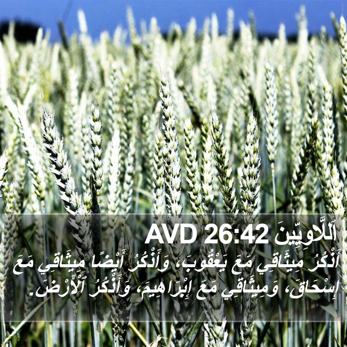اَللَّاوِيِّينَ 26:42 AVD Bible Study