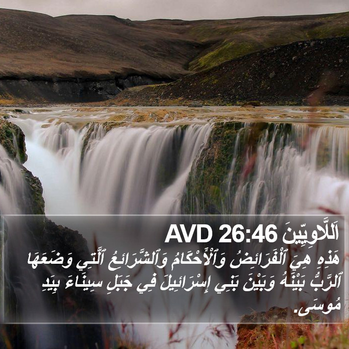 اَللَّاوِيِّينَ 26:46 AVD Bible Study