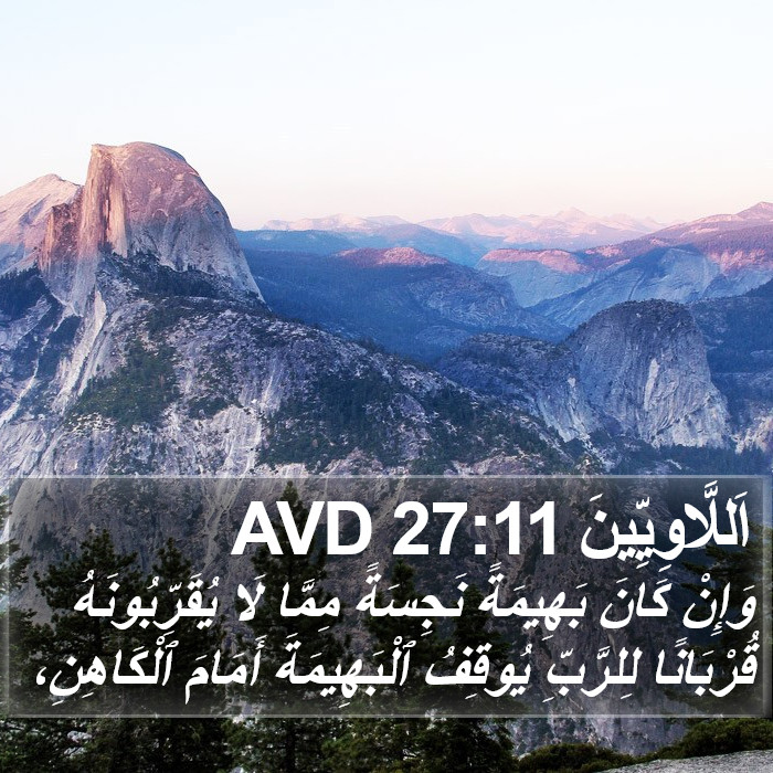 اَللَّاوِيِّينَ 27:11 AVD Bible Study