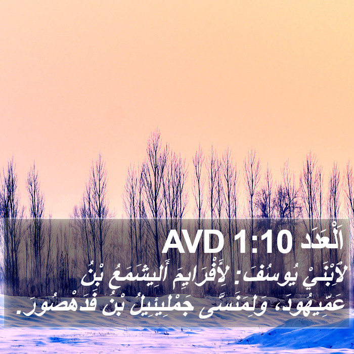 اَلْعَدَد 1:10 AVD Bible Study