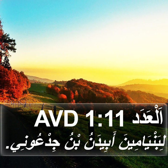 اَلْعَدَد 1:11 AVD Bible Study