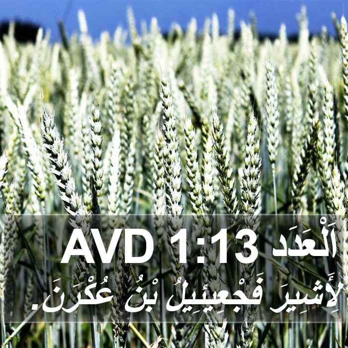 اَلْعَدَد 1:13 AVD Bible Study