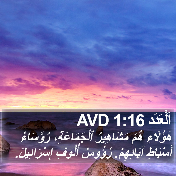 اَلْعَدَد 1:16 AVD Bible Study