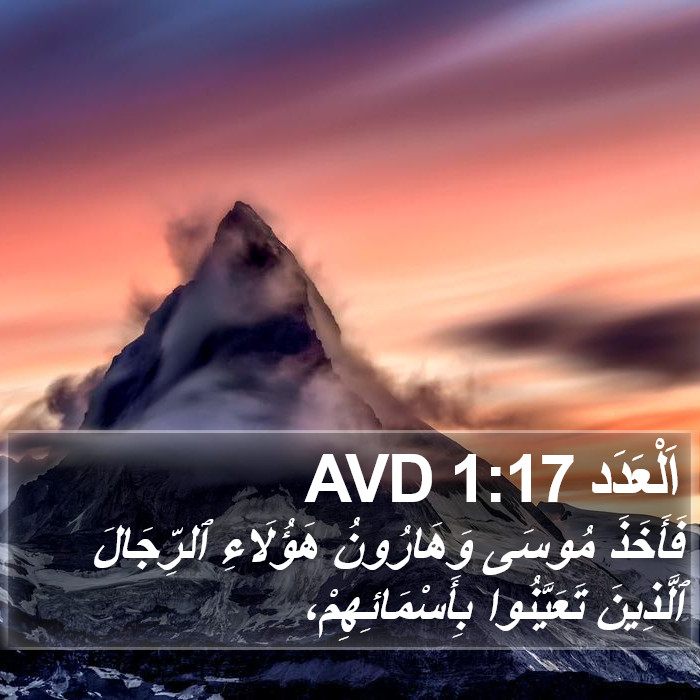 اَلْعَدَد 1:17 AVD Bible Study