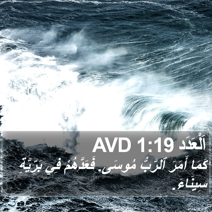 اَلْعَدَد 1:19 AVD Bible Study