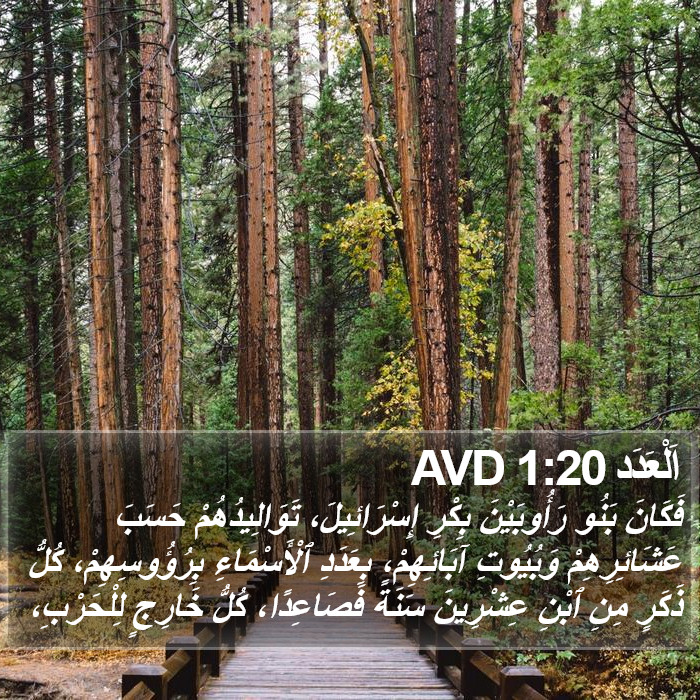 اَلْعَدَد 1:20 AVD Bible Study