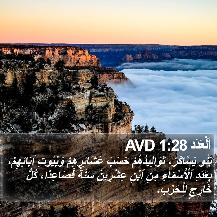 اَلْعَدَد 1:28 AVD Bible Study