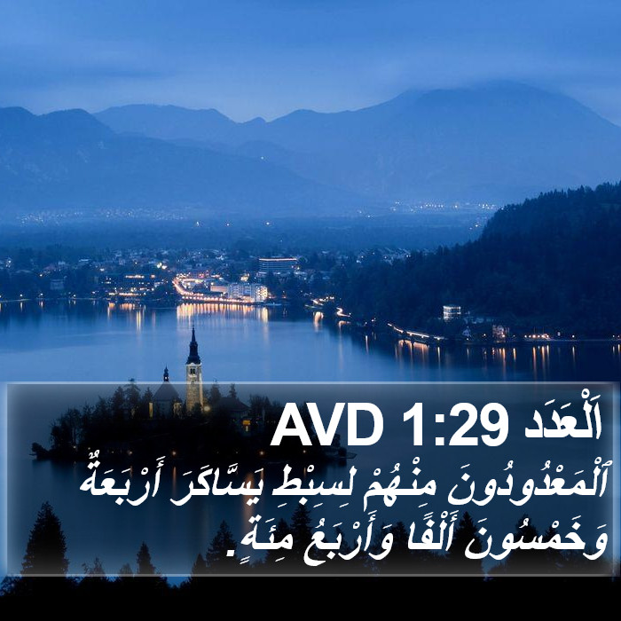 اَلْعَدَد 1:29 AVD Bible Study