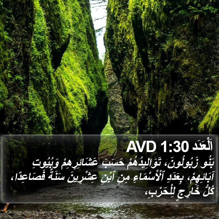 اَلْعَدَد 1:30 AVD Bible Study