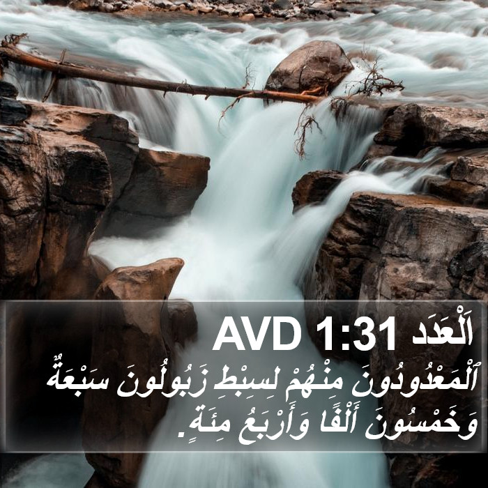 اَلْعَدَد 1:31 AVD Bible Study