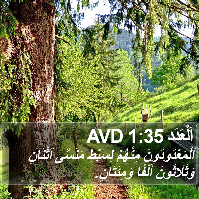 اَلْعَدَد 1:35 AVD Bible Study