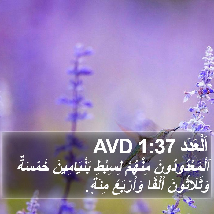 اَلْعَدَد 1:37 AVD Bible Study