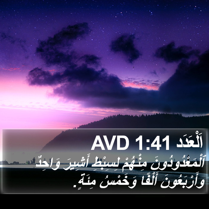 اَلْعَدَد 1:41 AVD Bible Study