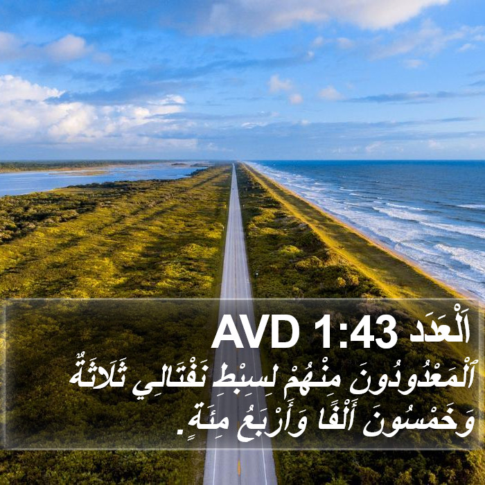 اَلْعَدَد 1:43 AVD Bible Study