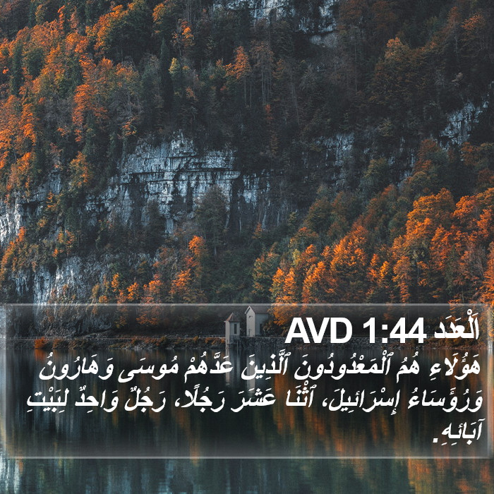 اَلْعَدَد 1:44 AVD Bible Study