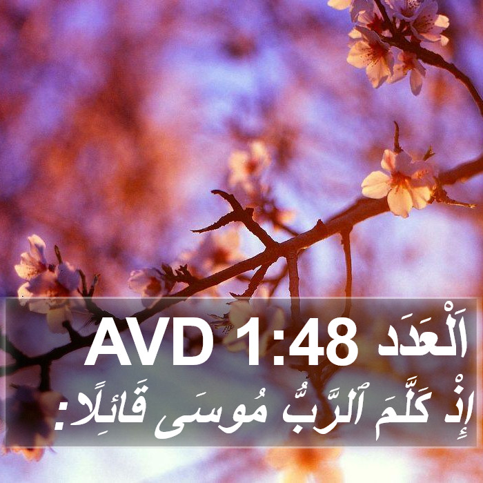 اَلْعَدَد 1:48 AVD Bible Study