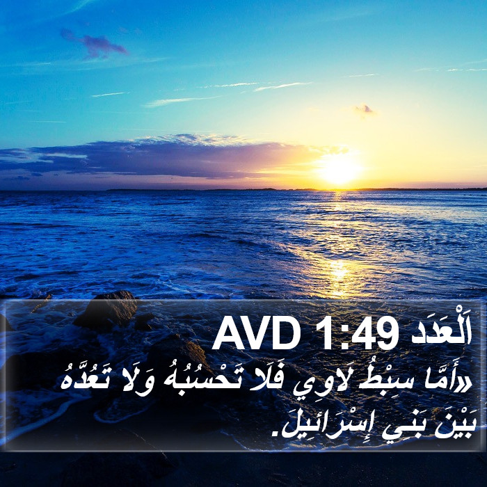 اَلْعَدَد 1:49 AVD Bible Study