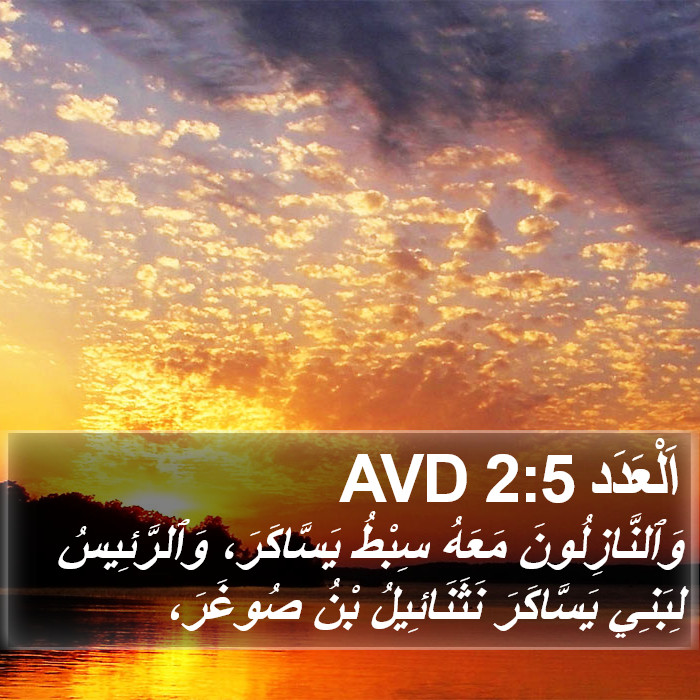 اَلْعَدَد 2:5 AVD Bible Study