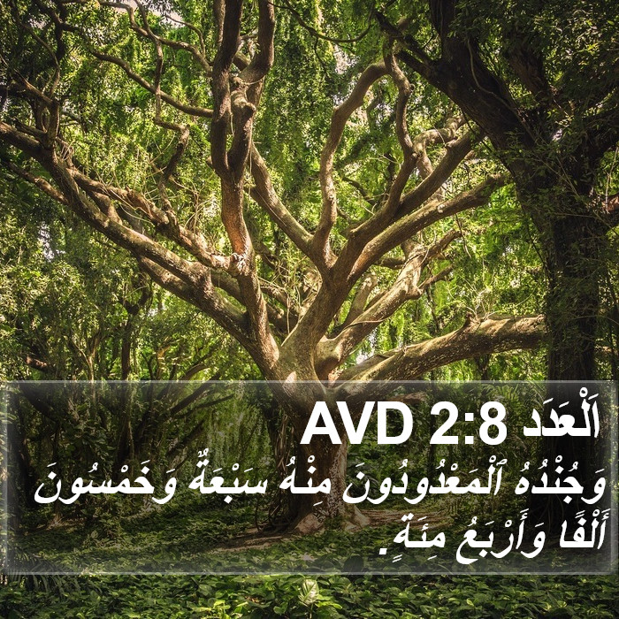 اَلْعَدَد 2:8 AVD Bible Study