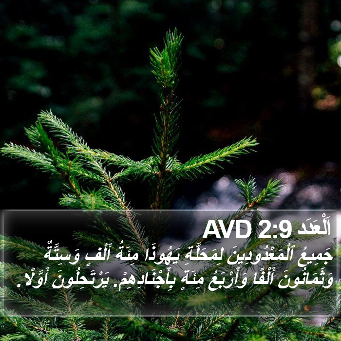 اَلْعَدَد 2:9 AVD Bible Study