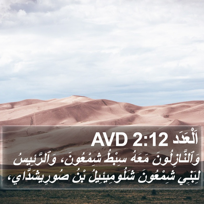 اَلْعَدَد 2:12 AVD Bible Study