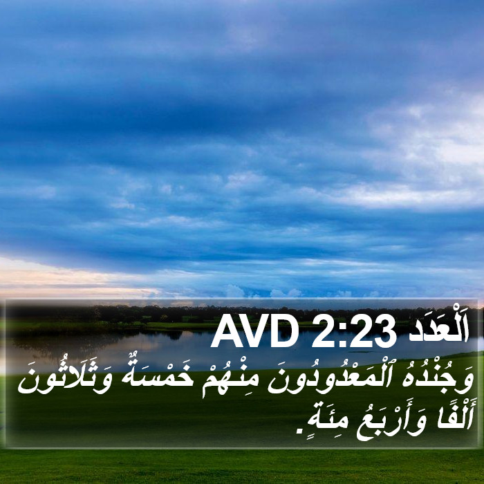 اَلْعَدَد 2:23 AVD Bible Study