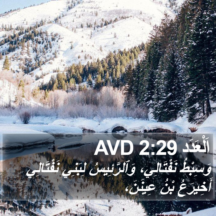 اَلْعَدَد 2:29 AVD Bible Study