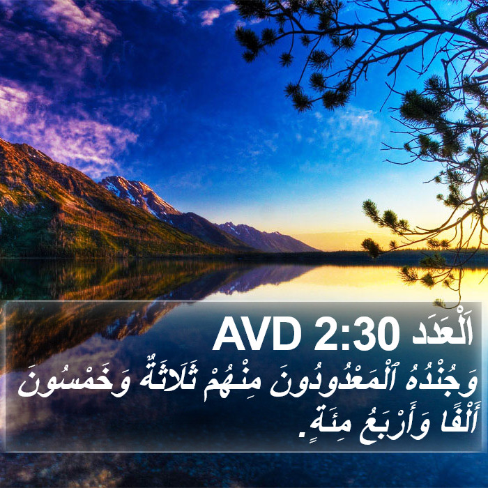 اَلْعَدَد 2:30 AVD Bible Study