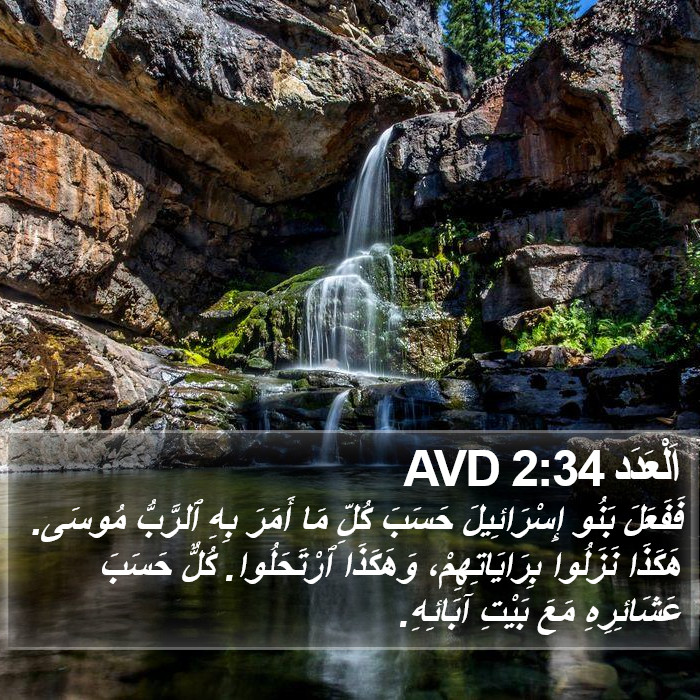 اَلْعَدَد 2:34 AVD Bible Study