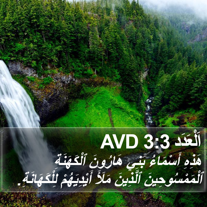 اَلْعَدَد 3:3 AVD Bible Study