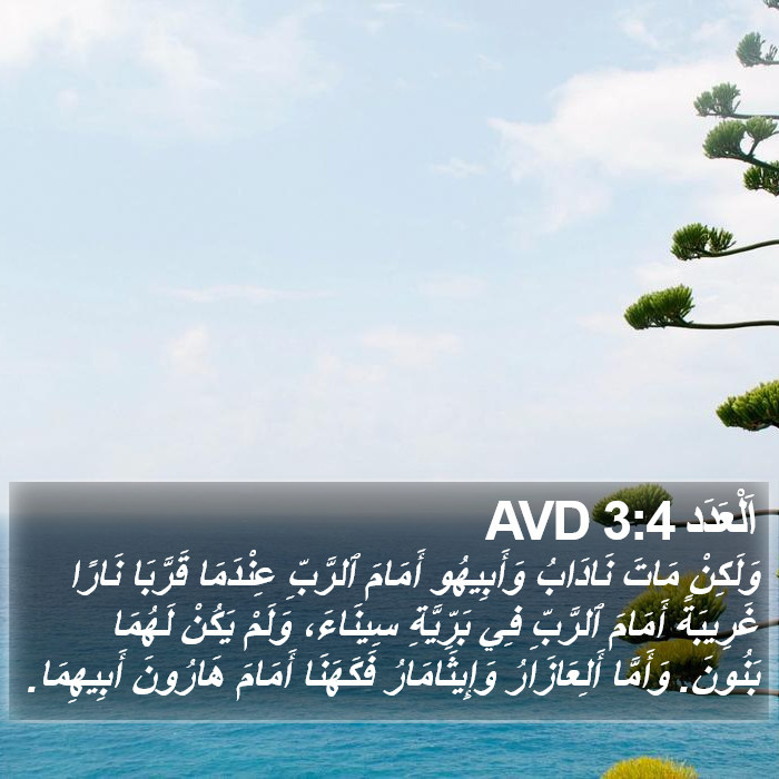 اَلْعَدَد 3:4 AVD Bible Study